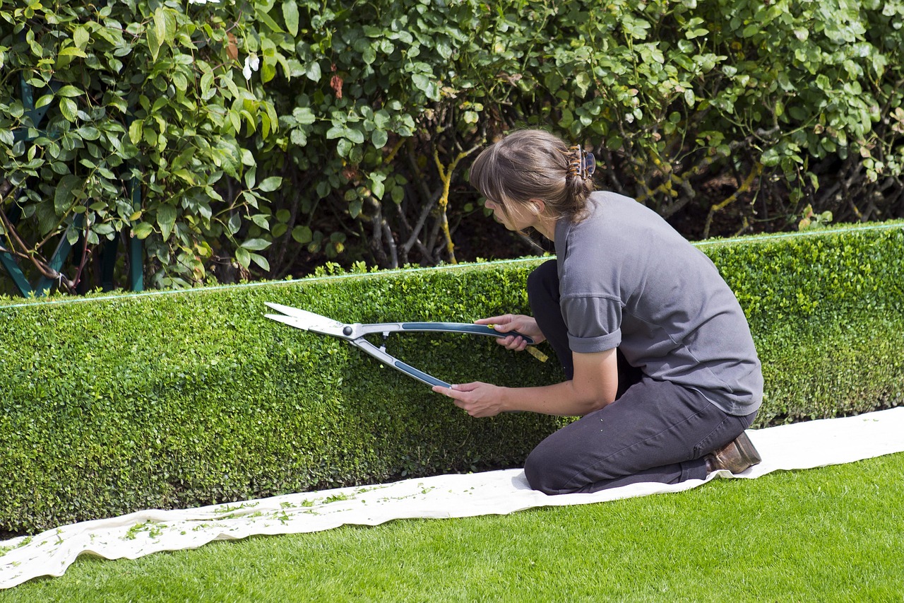 découvrez les bonnes techniques pour tailler vos haies, favoriser leur croissance et garder un jardin soigné toute l’année.