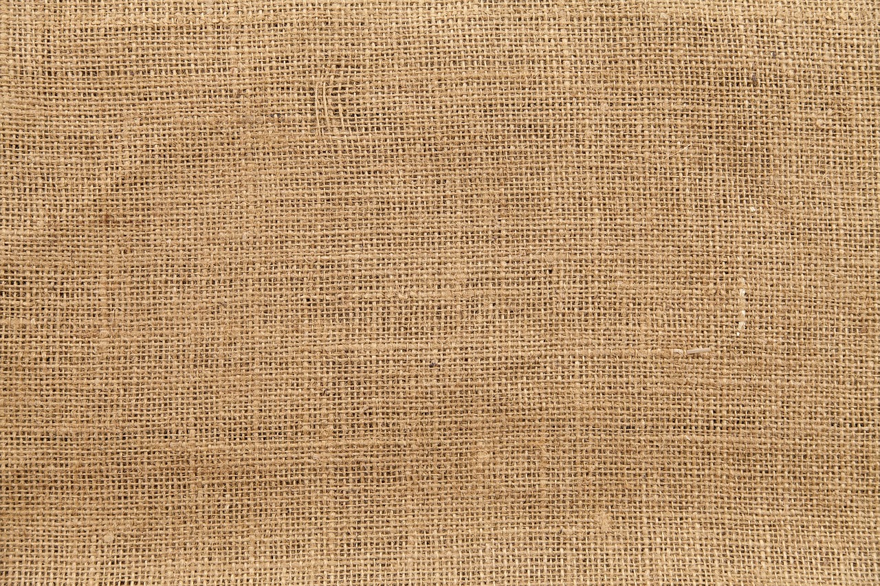 découvrez les matériaux naturels, leurs caractéristiques et leurs usages pour créer des espaces durables, authentiques et respectueux de l’environnement.