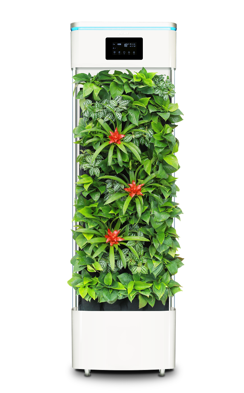 découvrez les plantes dépolluantes qui apportent une touche de verdure à votre intérieur et contribuent à créer une atmosphère plus agréable.