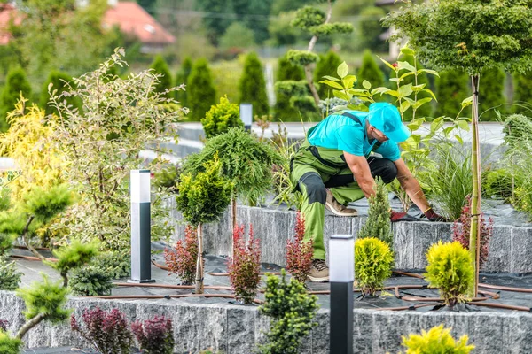 aménager son jardin soi-même ou faire appel à un paysagiste ? comparez les coûts, le temps et les résultats pour choisir la meilleure option.