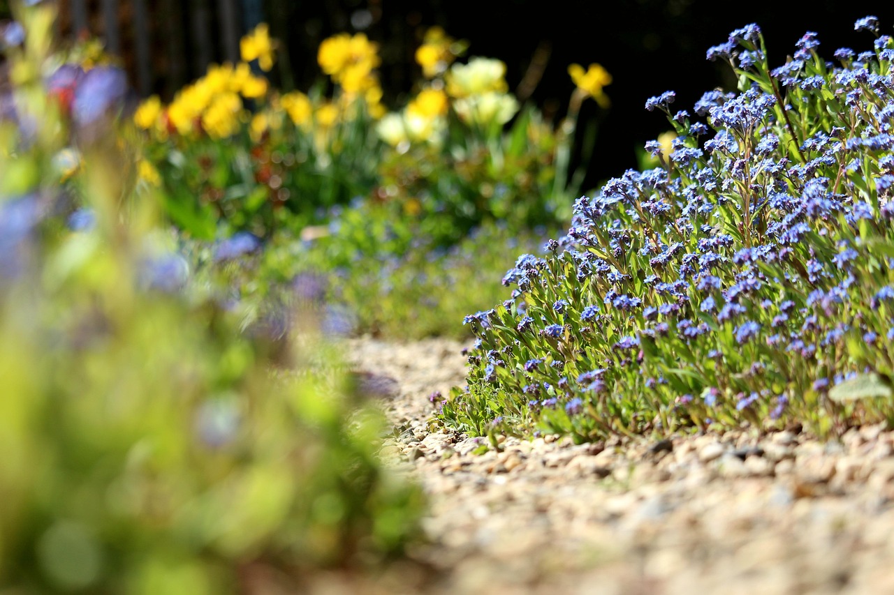 découvrez la calade provençale, un élégant chemin de jardin en pierres naturelles qui apporte charme et authenticité à vos espaces extérieurs.